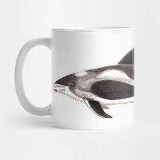 White-beaked dolphin Lagenorhynchus albirostris Mug